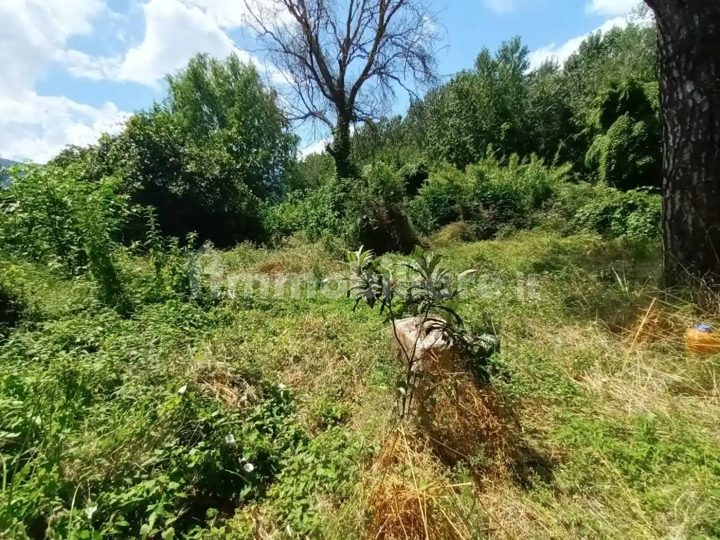 Cascina viale San Concordio 1000, Pontetetto - Sorbano del Giudice, Lucca - foto 4