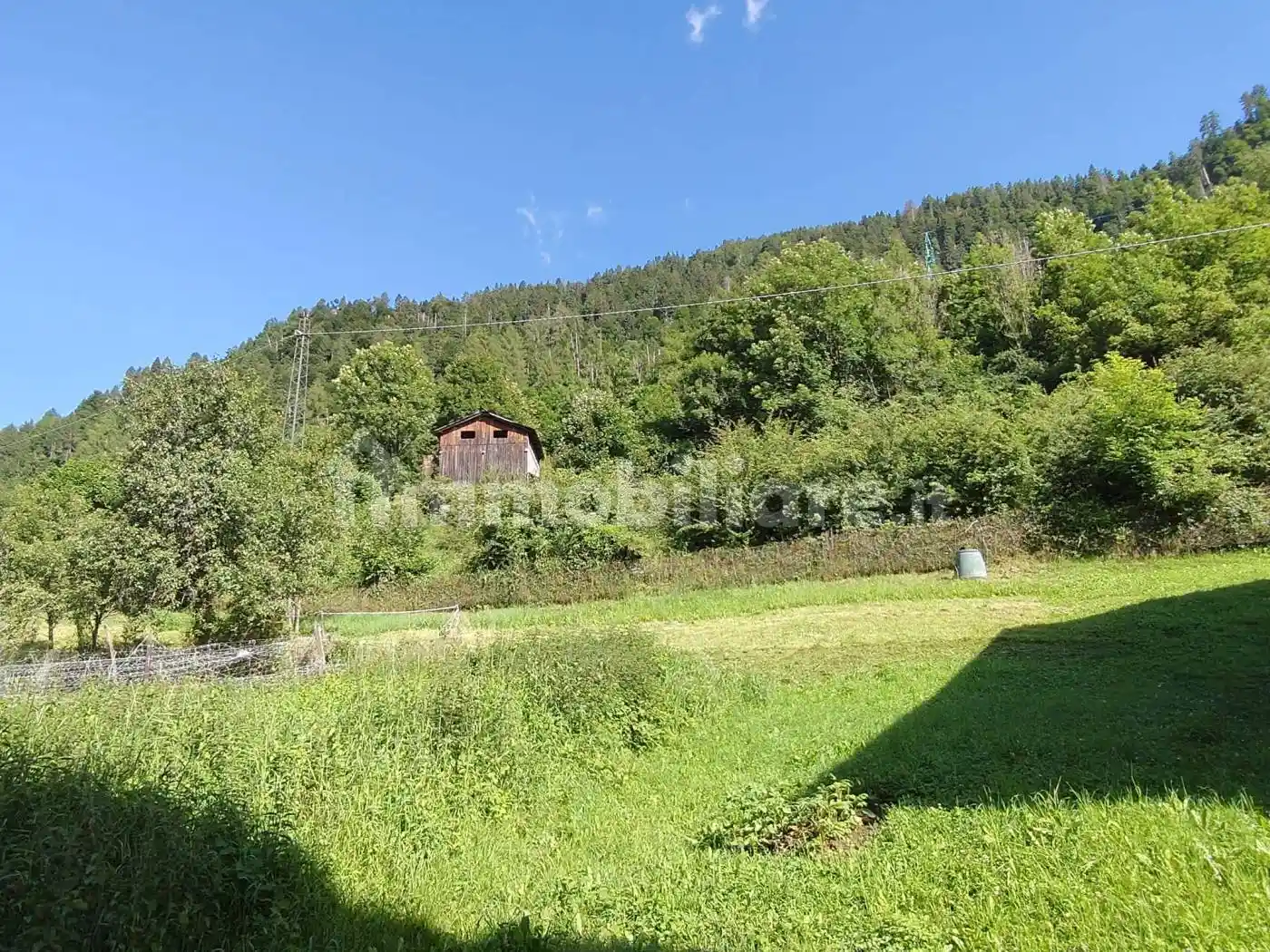 Palazzo - Edificio - foto 5