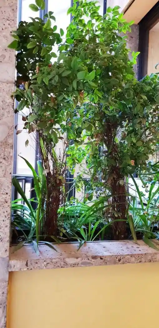 Quadrilocale via Borgogna, San Babila, Milano - foto 4