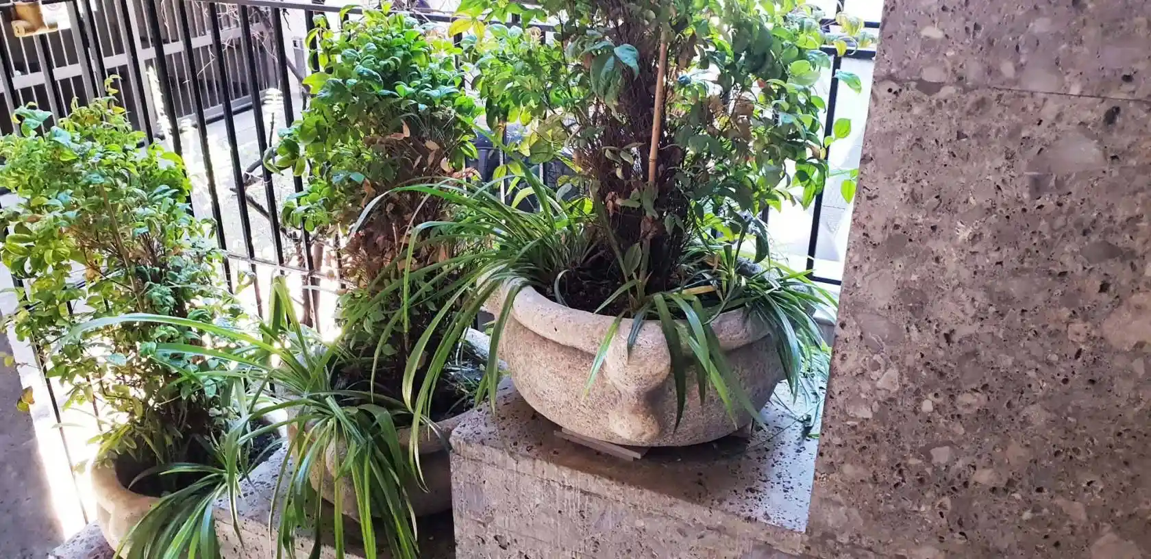 Quadrilocale via Borgogna, San Babila, Milano - foto 5