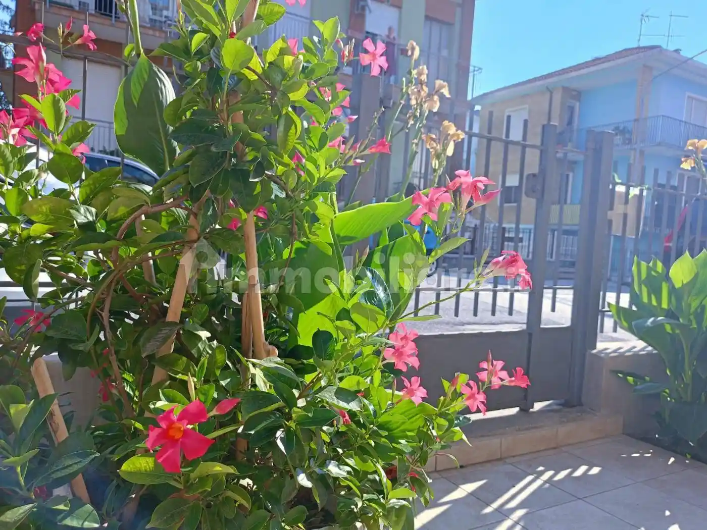 Villa in vendita a Pesaro