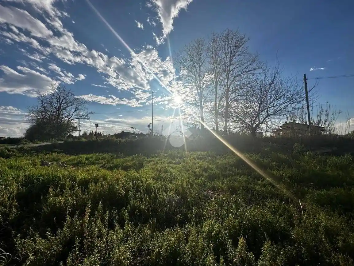 Terratetto unifamiliare via C. Bonificazione 155, Villamarina Monte, Cesenatico - foto 5