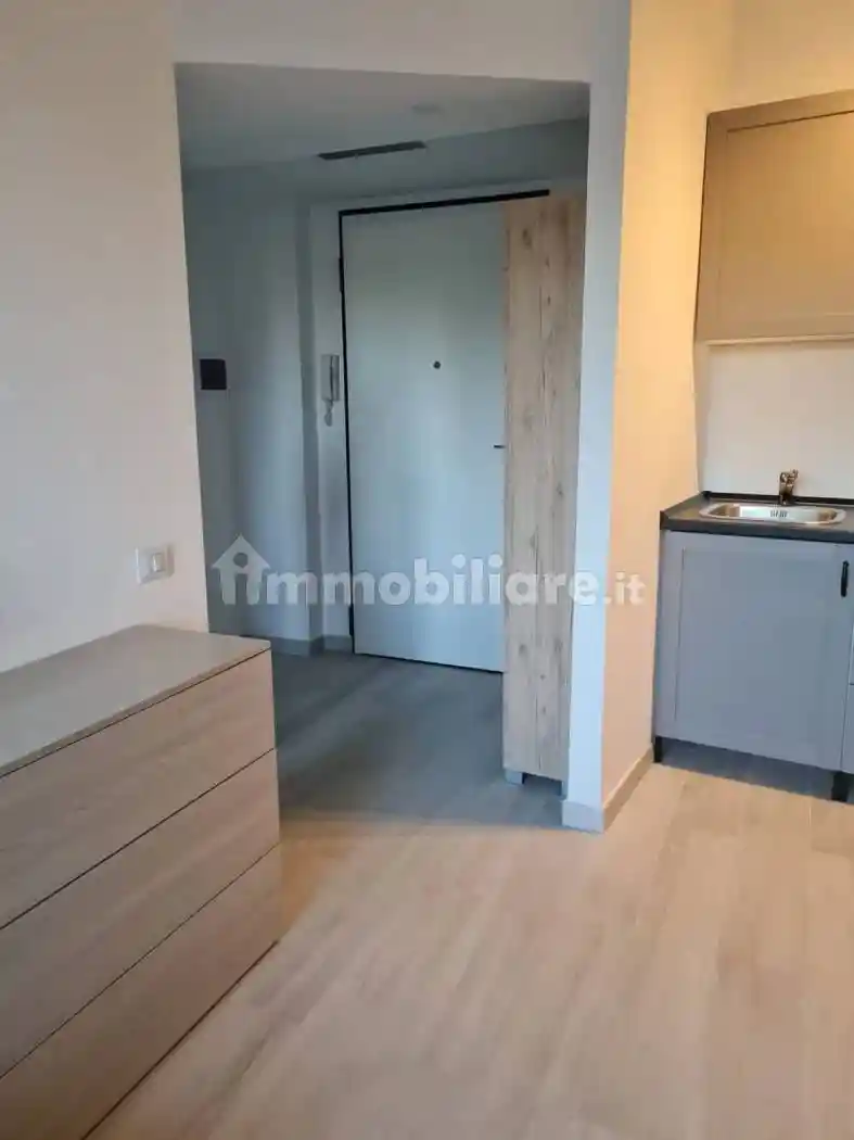 Monolocale via Braille San C., Parco, Monza - foto 4