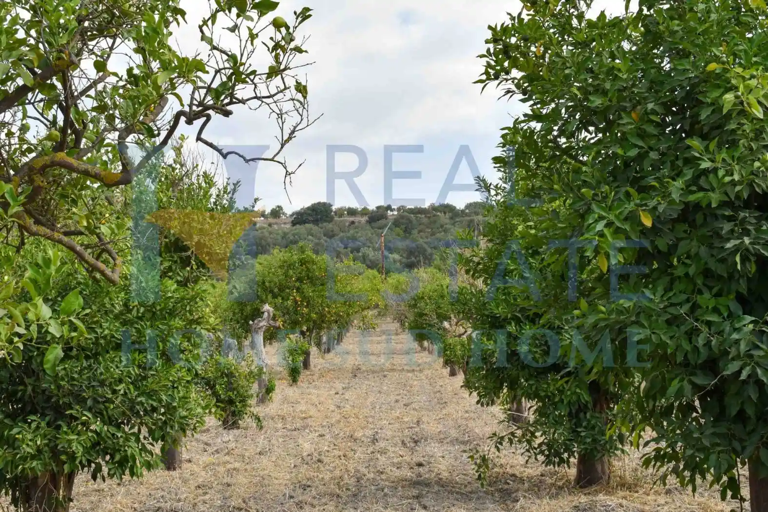 Rustico - Casale in vendita a Noto