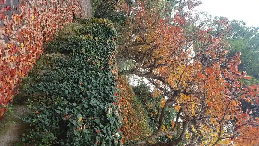 Villa bifamiliare via Castellaccio, Colle di Covignano, Rimini - foto 5