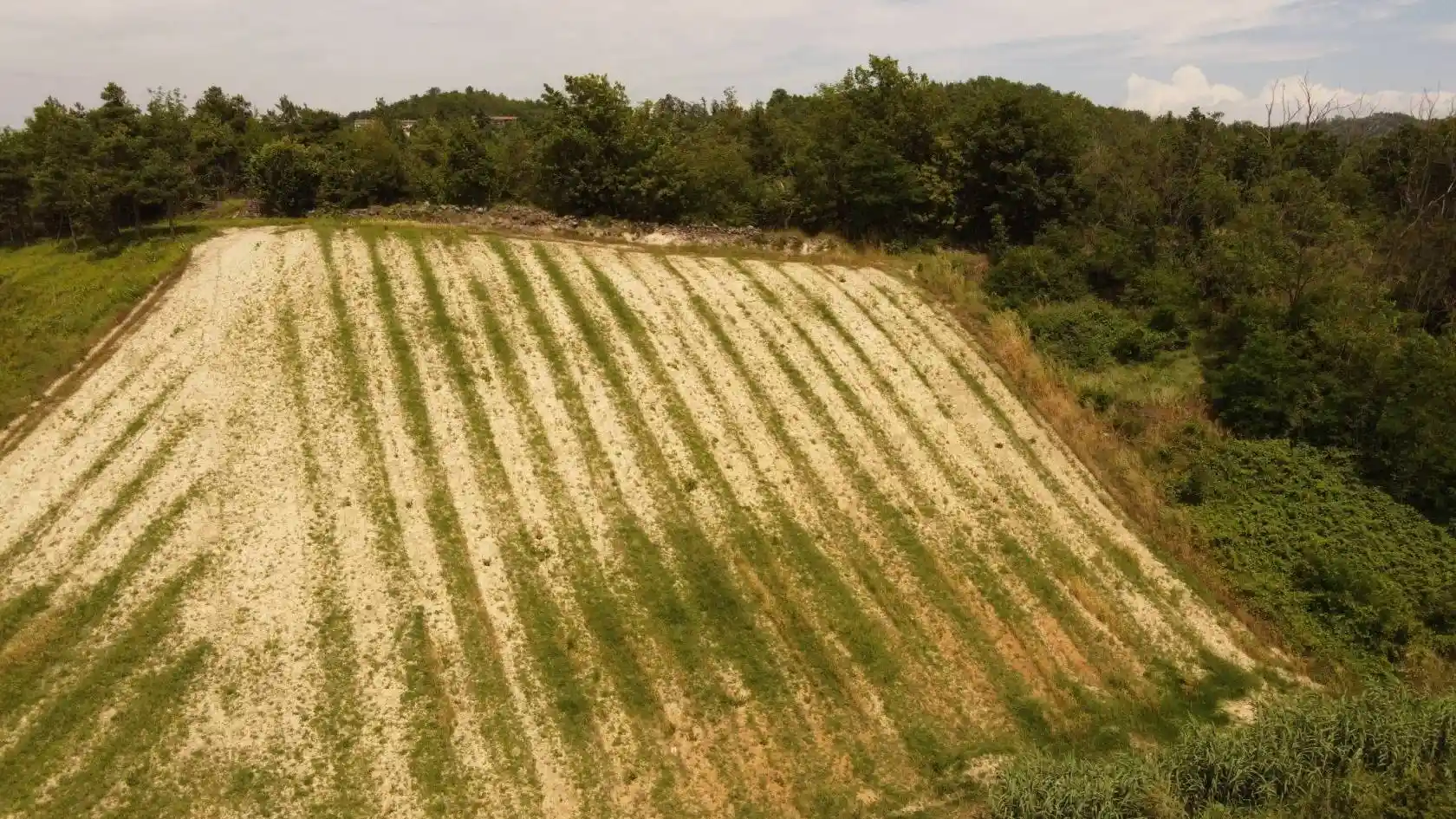 Rustico regione Roveta 10, Cassinasco - foto 4