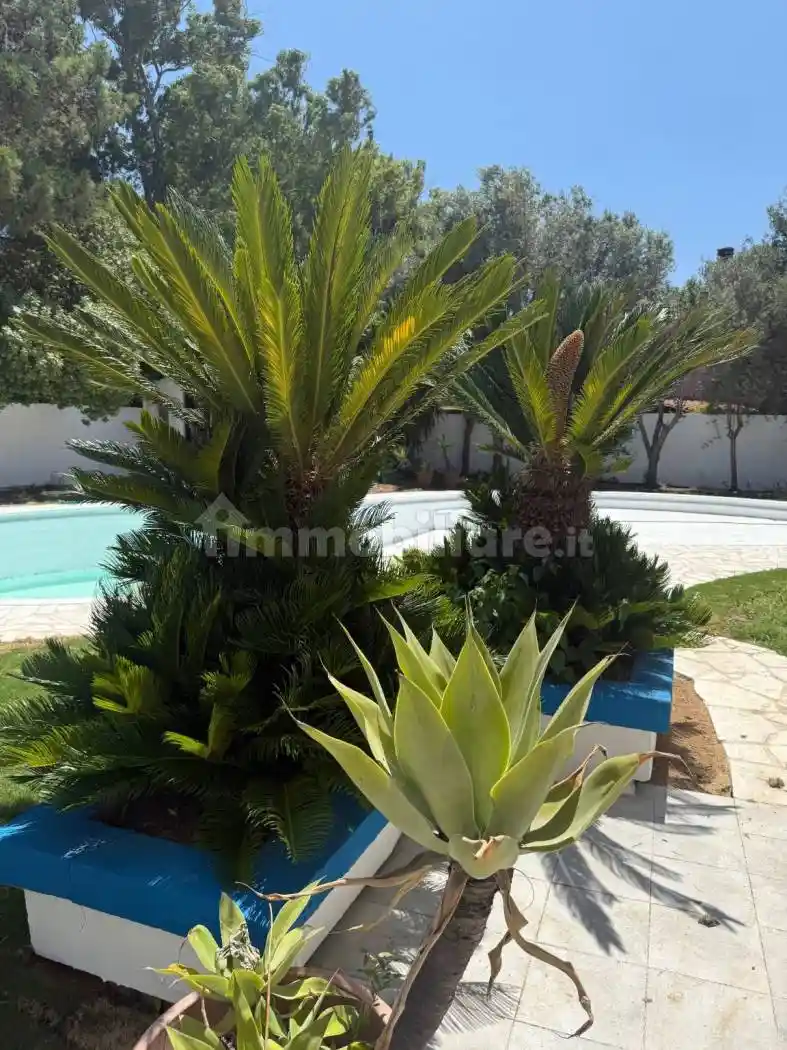 Villa plurifamiliare via Ischia 51, Foxi, Sant'Andrea, Quartu Sant'Elena - foto 3