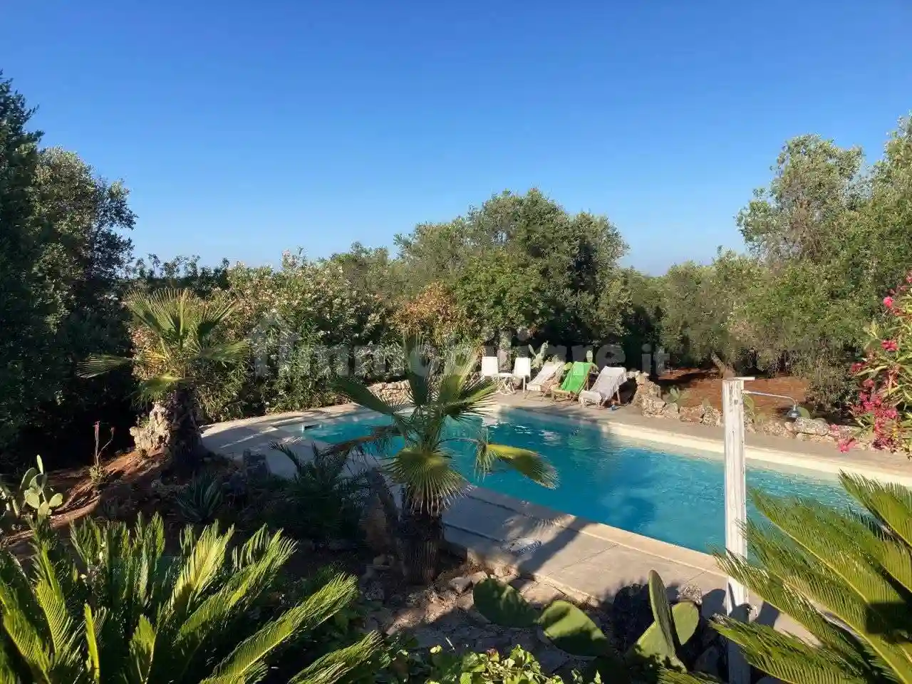 Rustico - Casale - foto 5