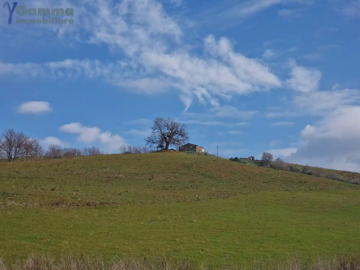 Rustico - Casale in vendita a Manciano