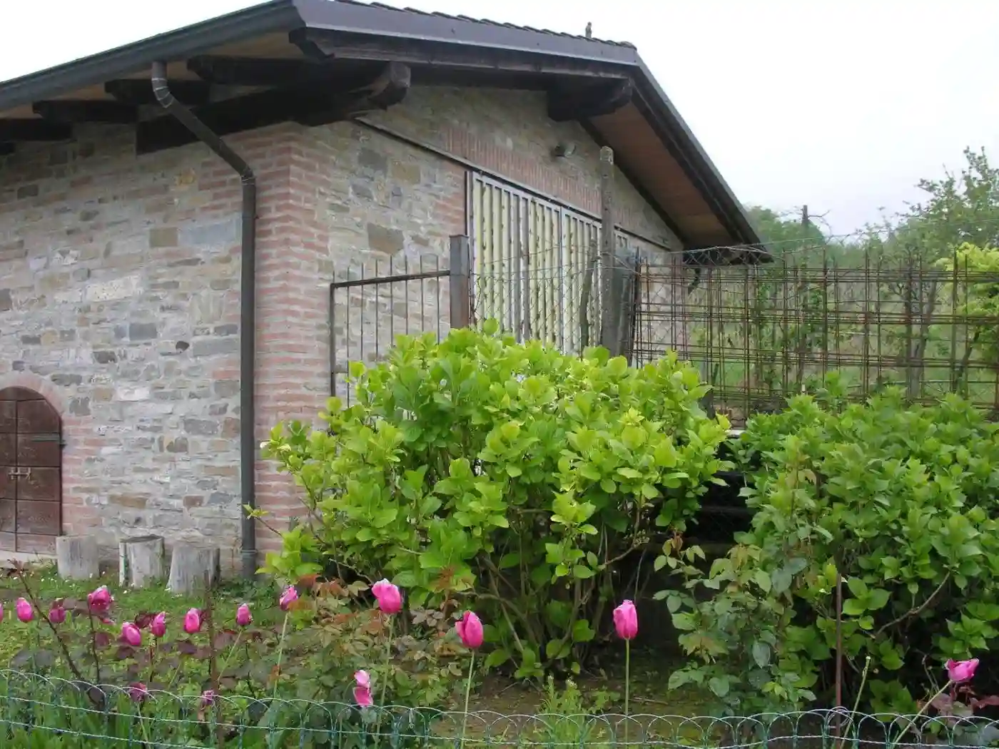 Rustico - Casale - foto 5