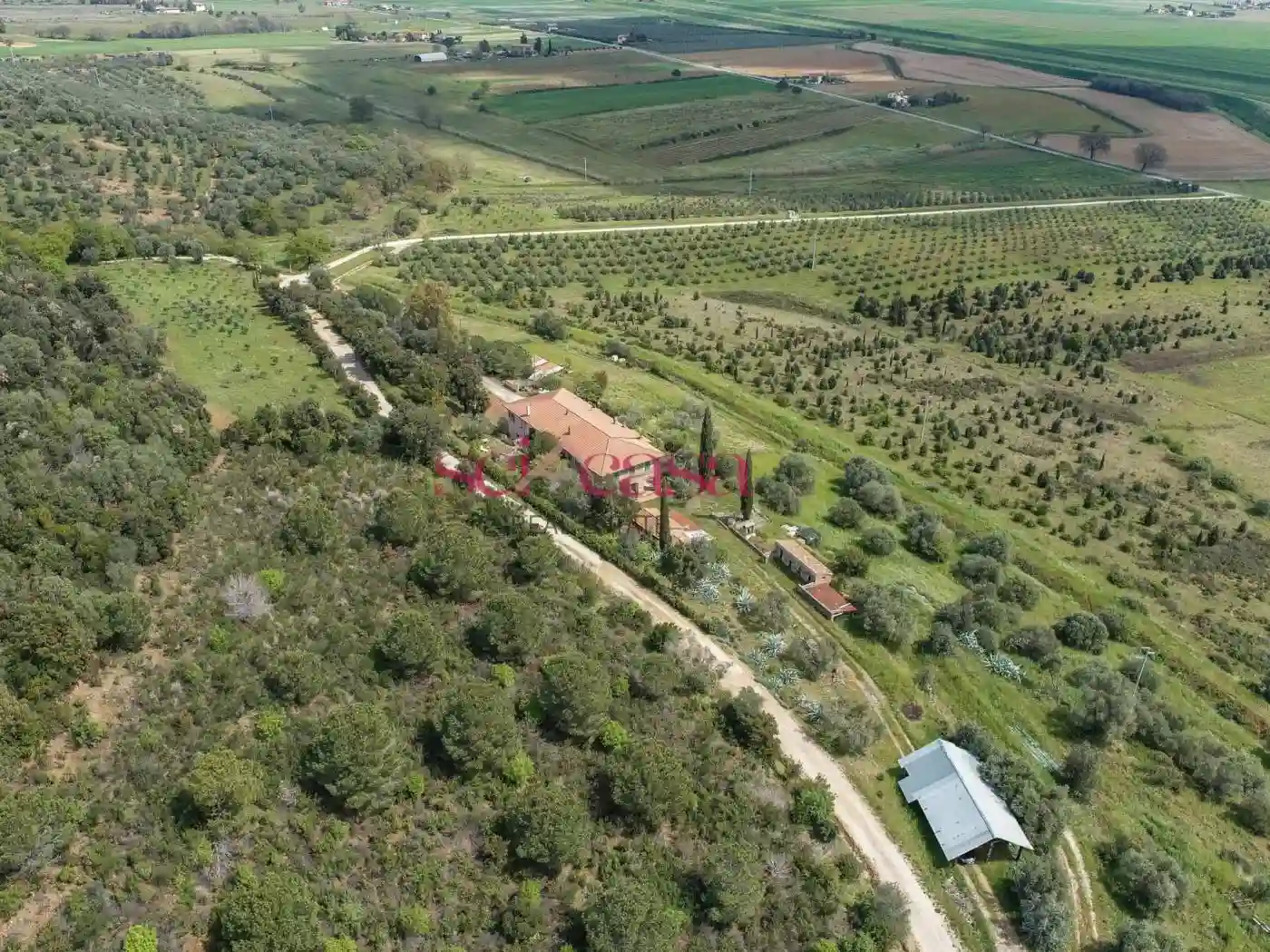 Rustico - Casale - foto 3