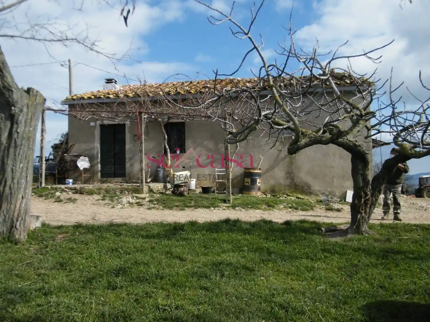 Rustico - Casale in vendita a Scansano