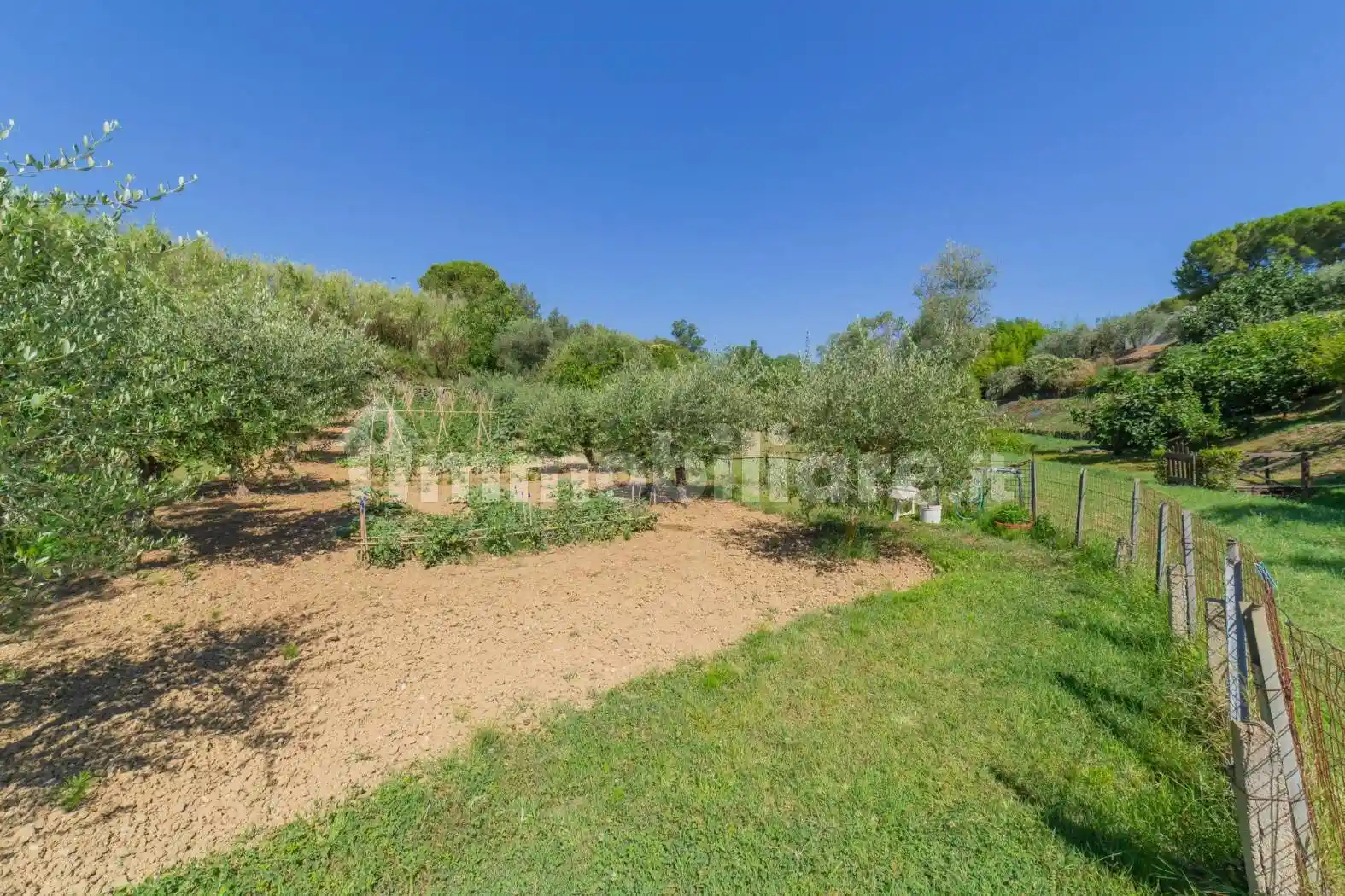 Palazzo - Edificio in Vendita - foto 5