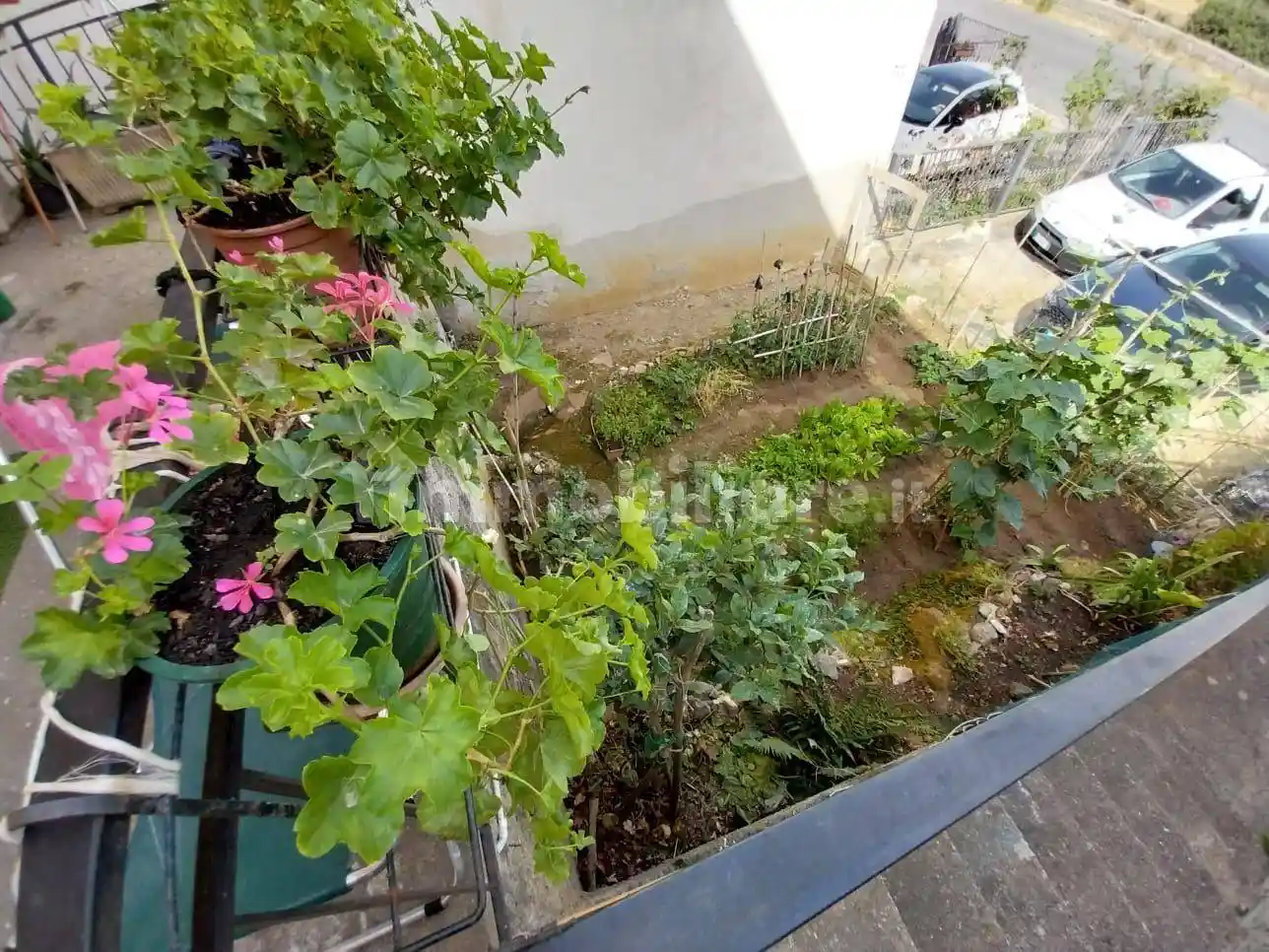 Appartamento Contrada Olivella, Belvedere Marittimo - foto 5