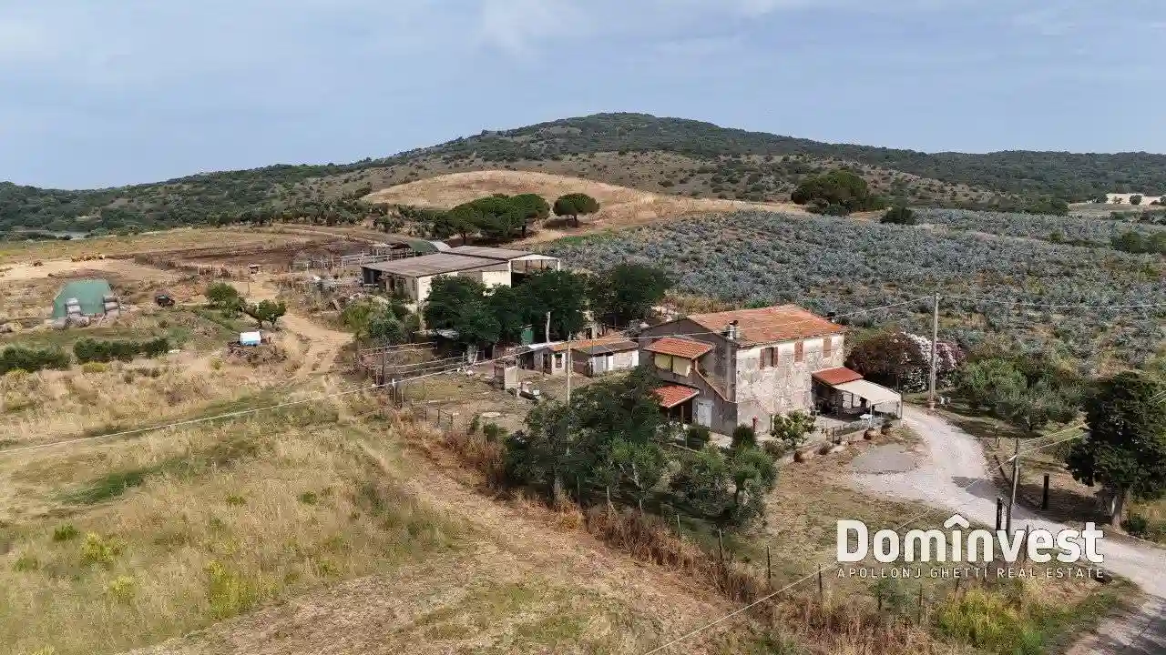 Rustico - Casale - foto 5