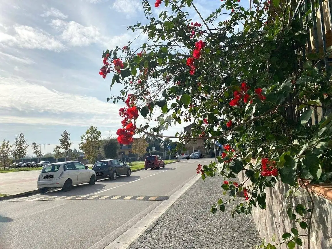 Appartamento in vendita a Acerra