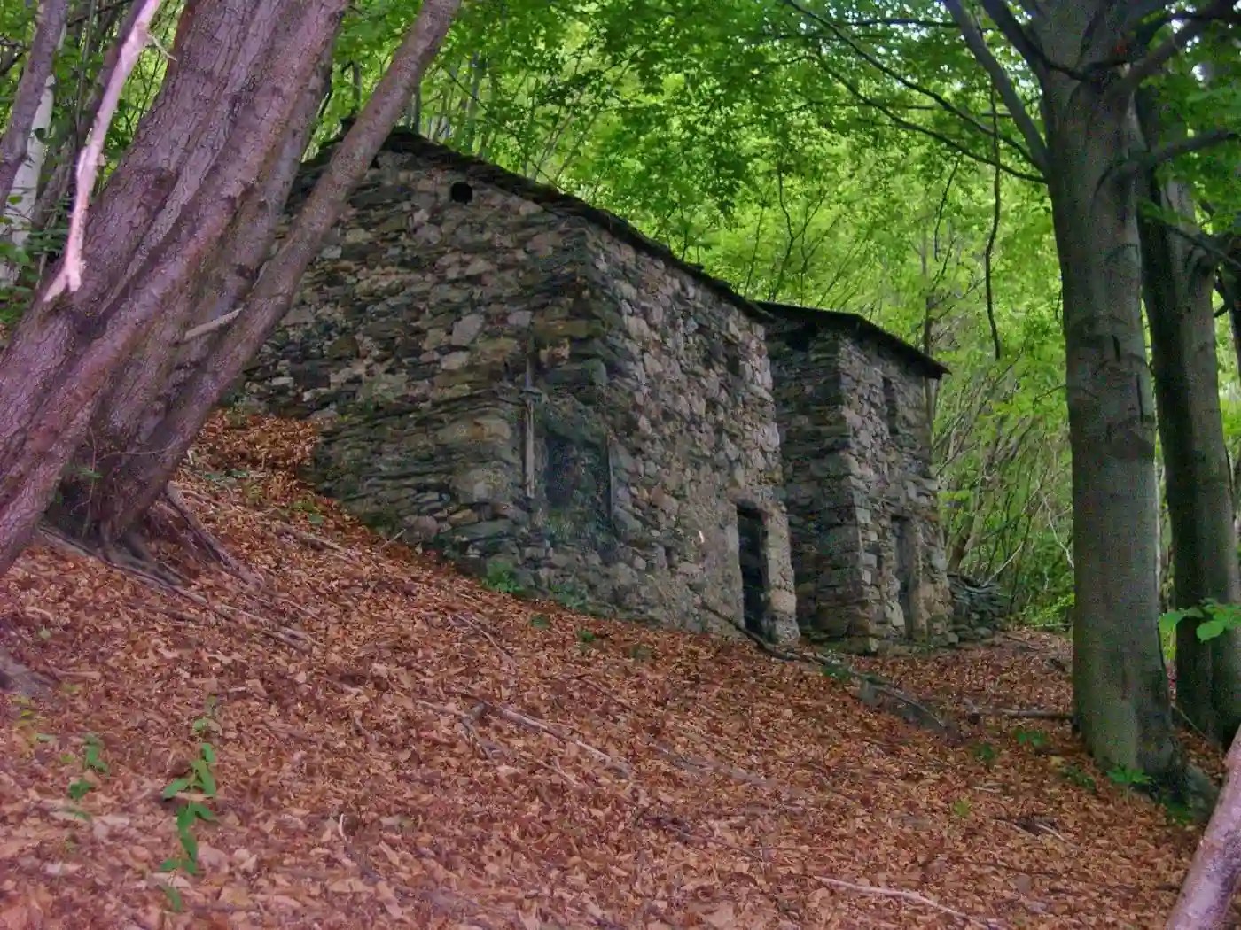 Rustico - Casale - foto 5