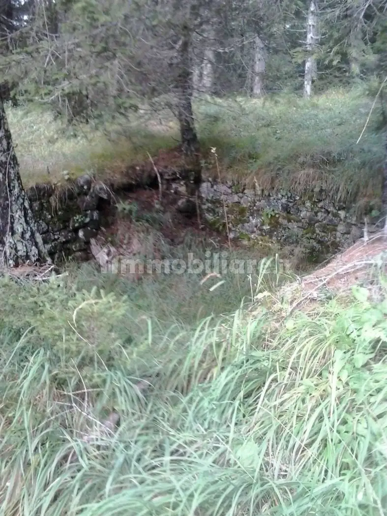 Rustico - Casale in vendita a Vigo di Cadore