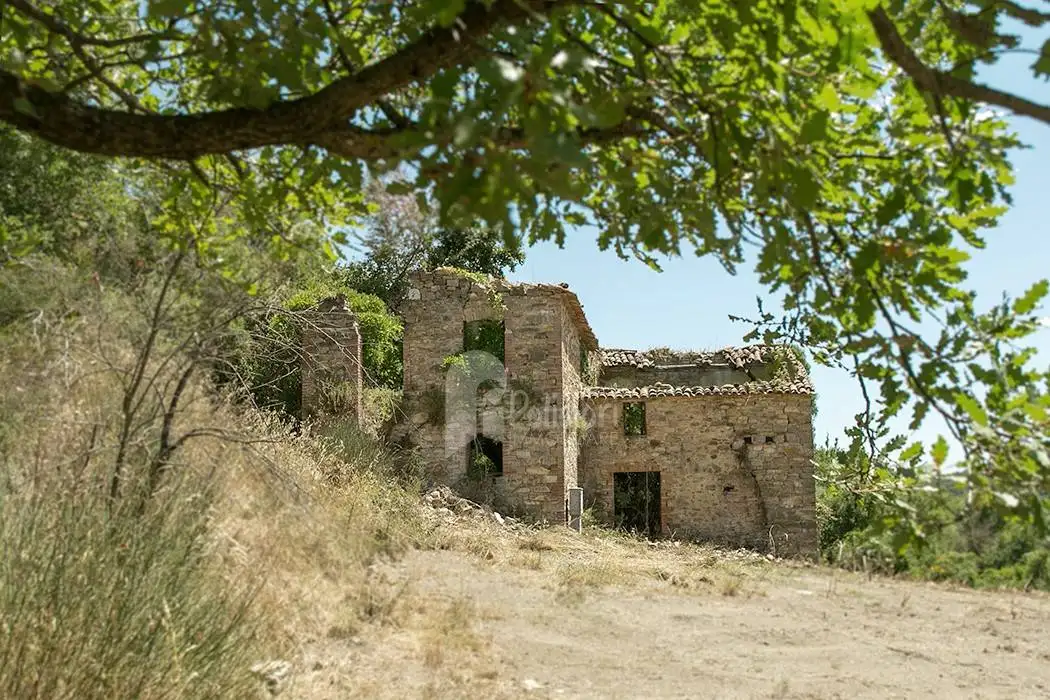 Rustico - Casale in vendita a Parrano