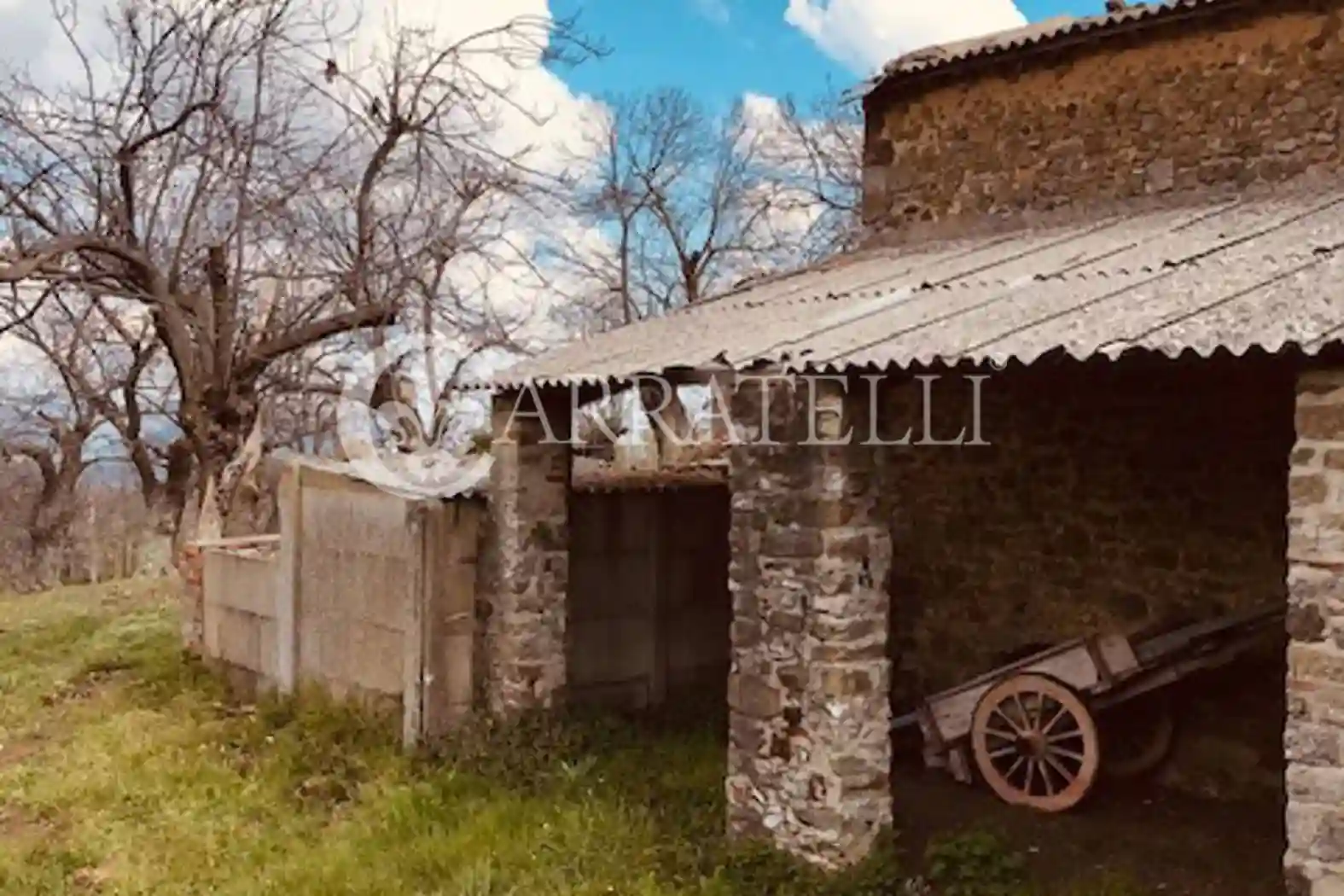 Rustico - Casale - foto 3