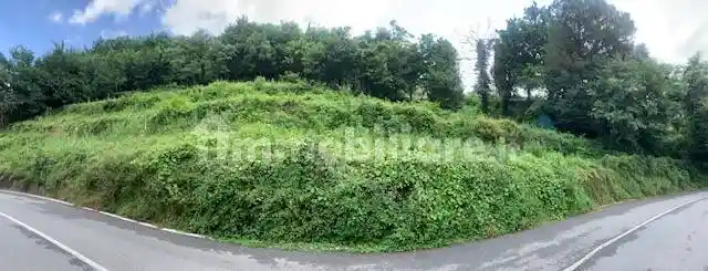 Rustico - Casale in vendita a Serra Riccò