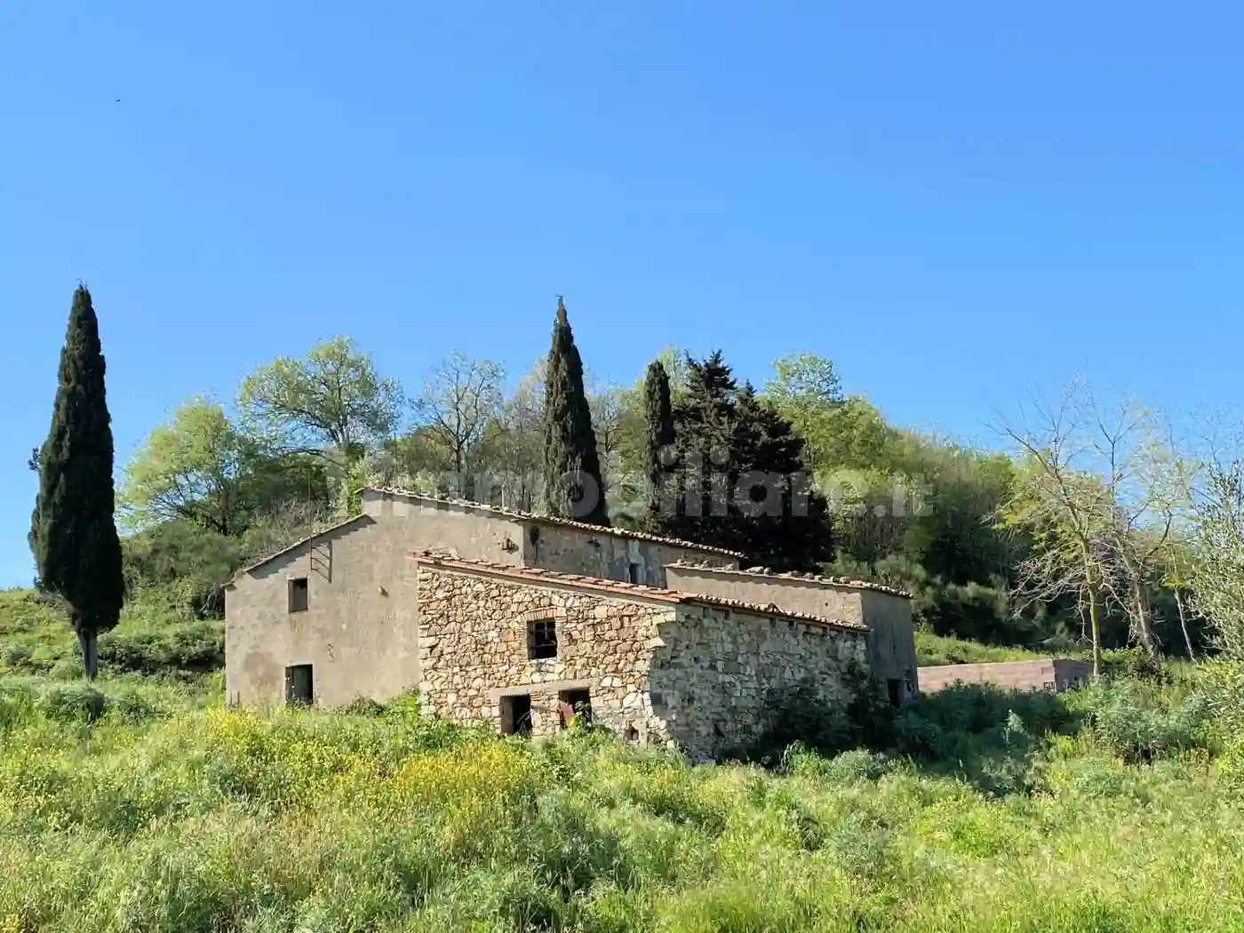 Rustico - Casale - foto 5