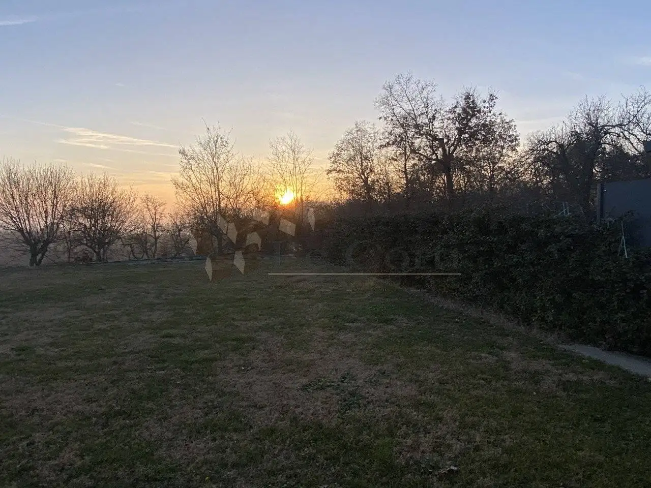 Villa in vendita a Alonte