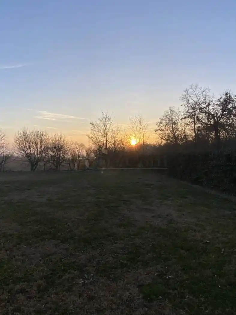 Villa unifamiliare, ottimo stato, 350 m², Centro, Alonte - foto 4