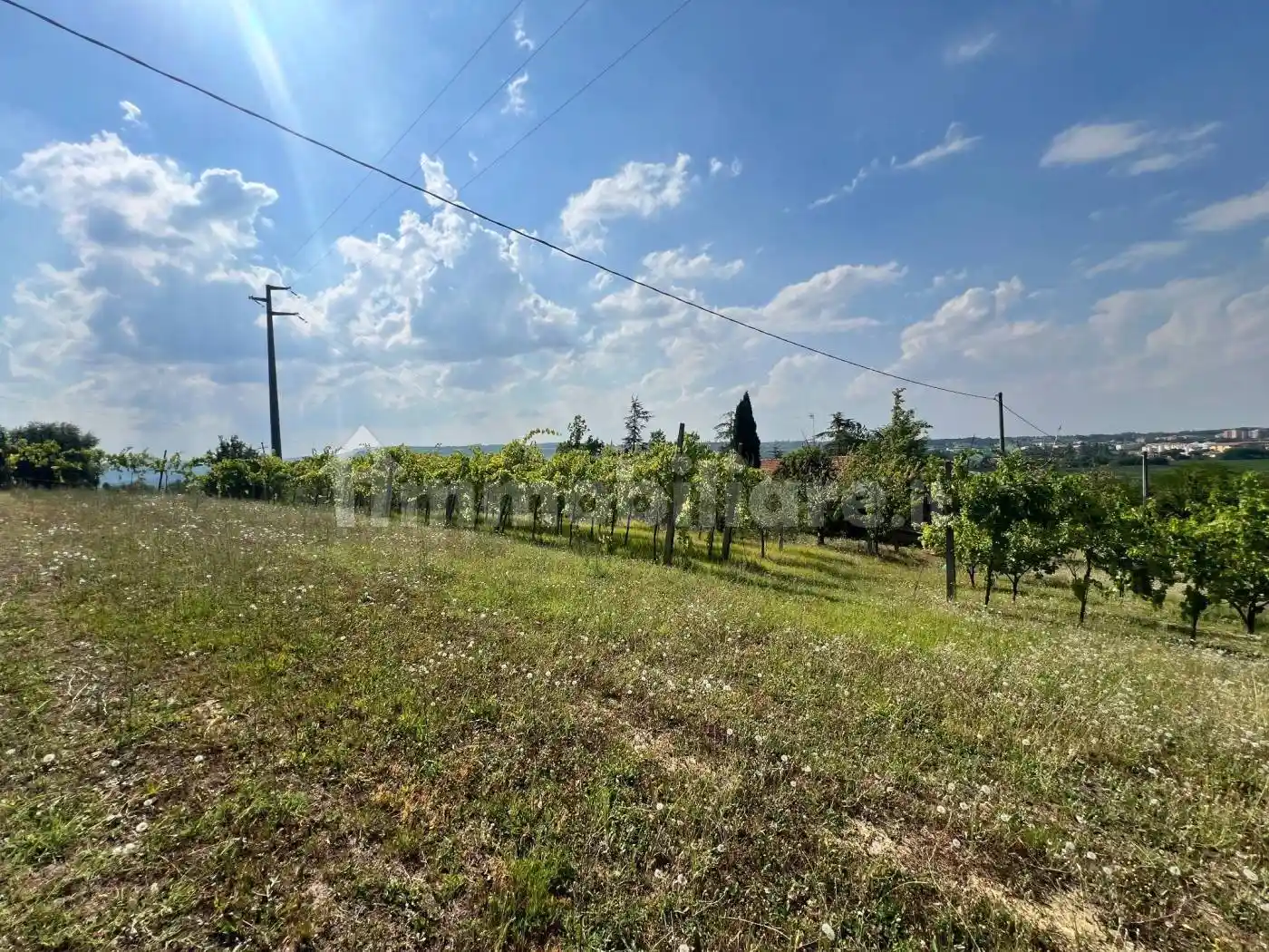 Villa unifamiliare via di Codrignano, Tre Monti, Imola - foto 3