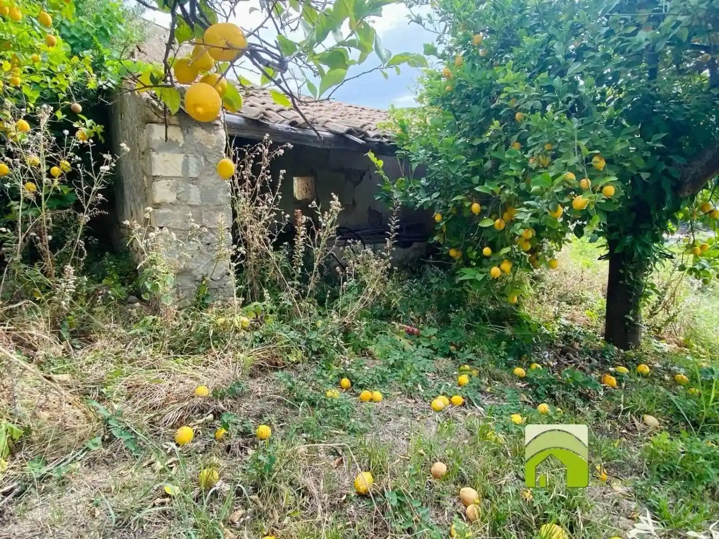 Rustico - Casale in vendita a Noto