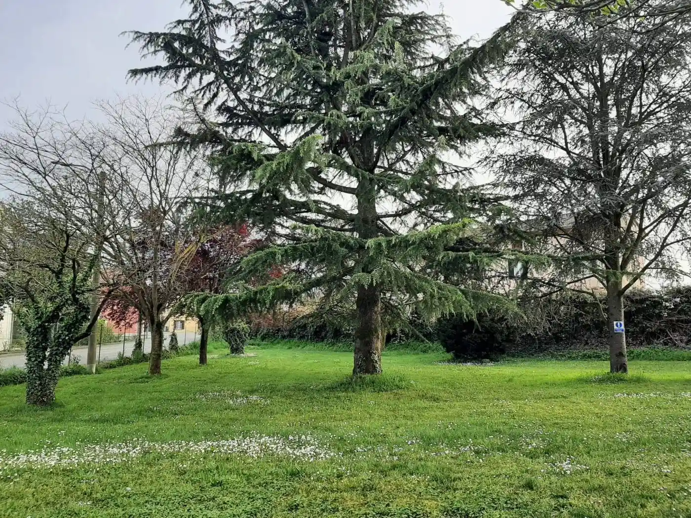 Villa in vendita a Alluvioni Piovera