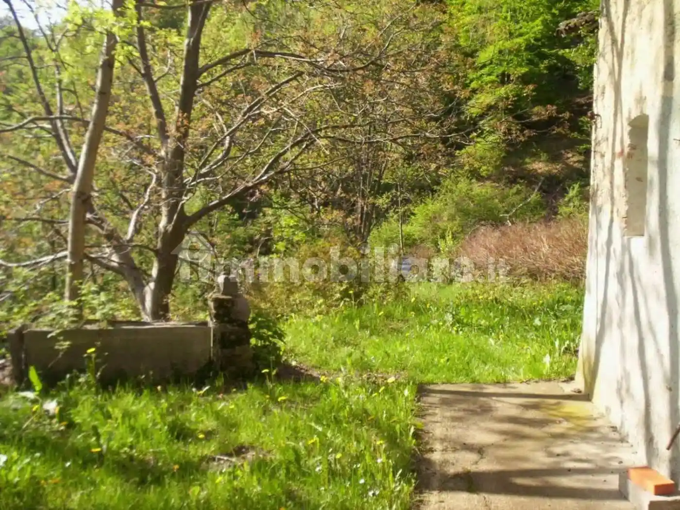 Rustico - Casale in vendita a Graglia