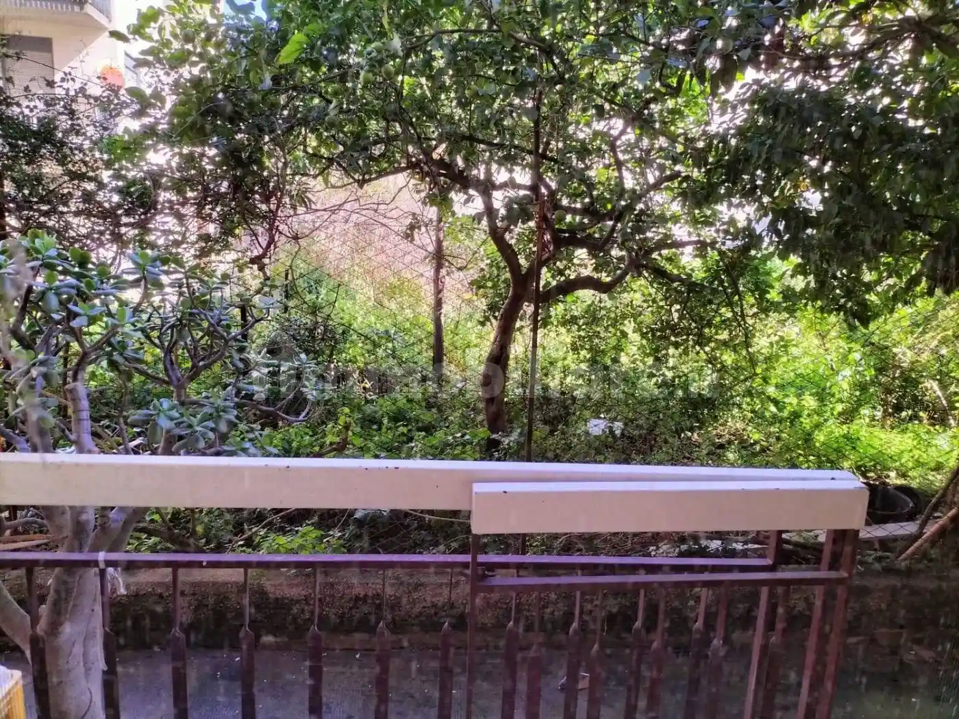 Villa in vendita a Cinisi