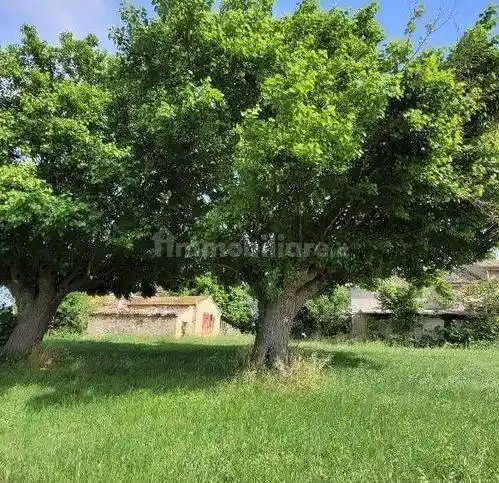 Rustico - Casale in vendita a Agugliano