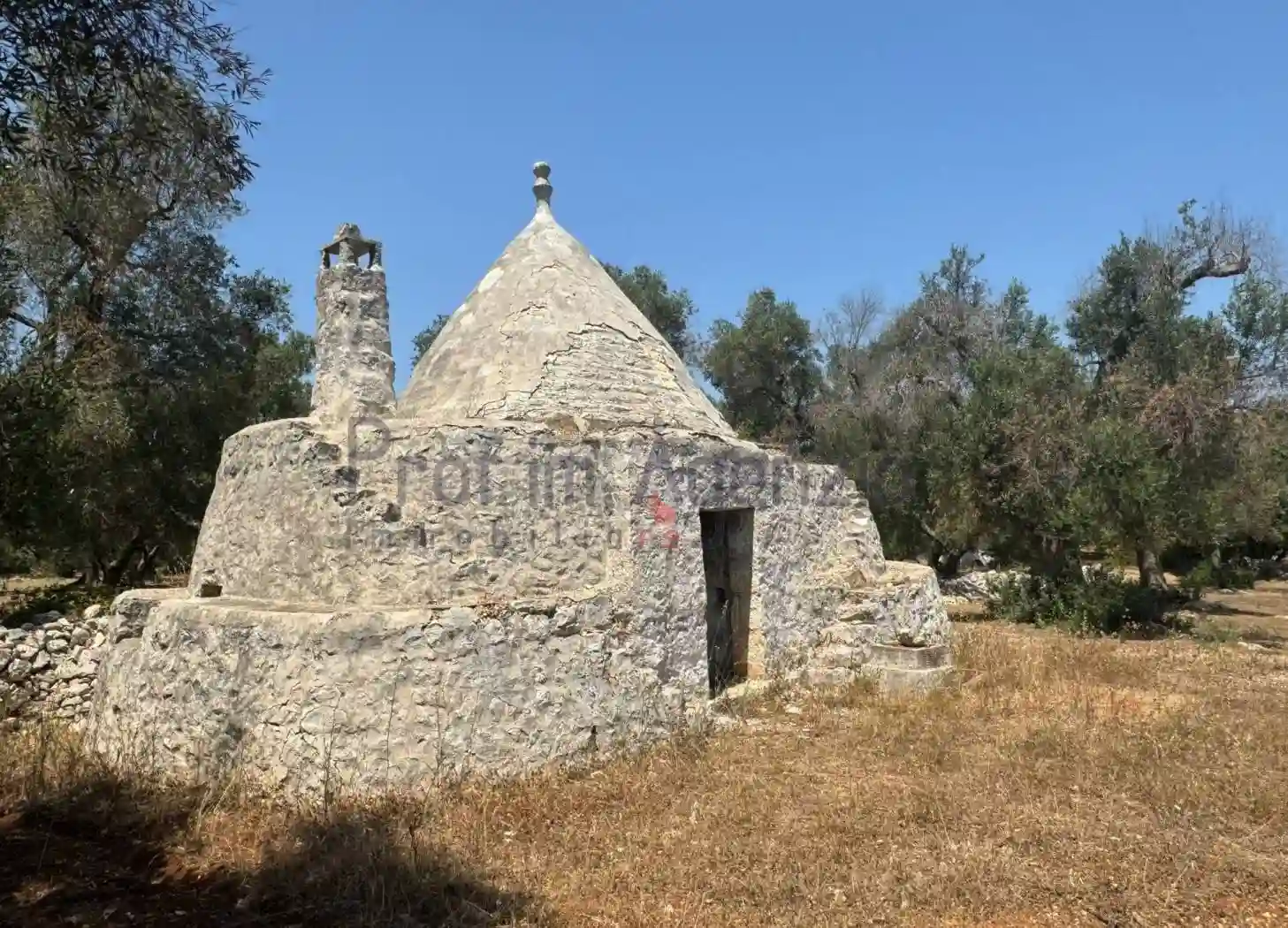 Rustico - Casale - foto 4