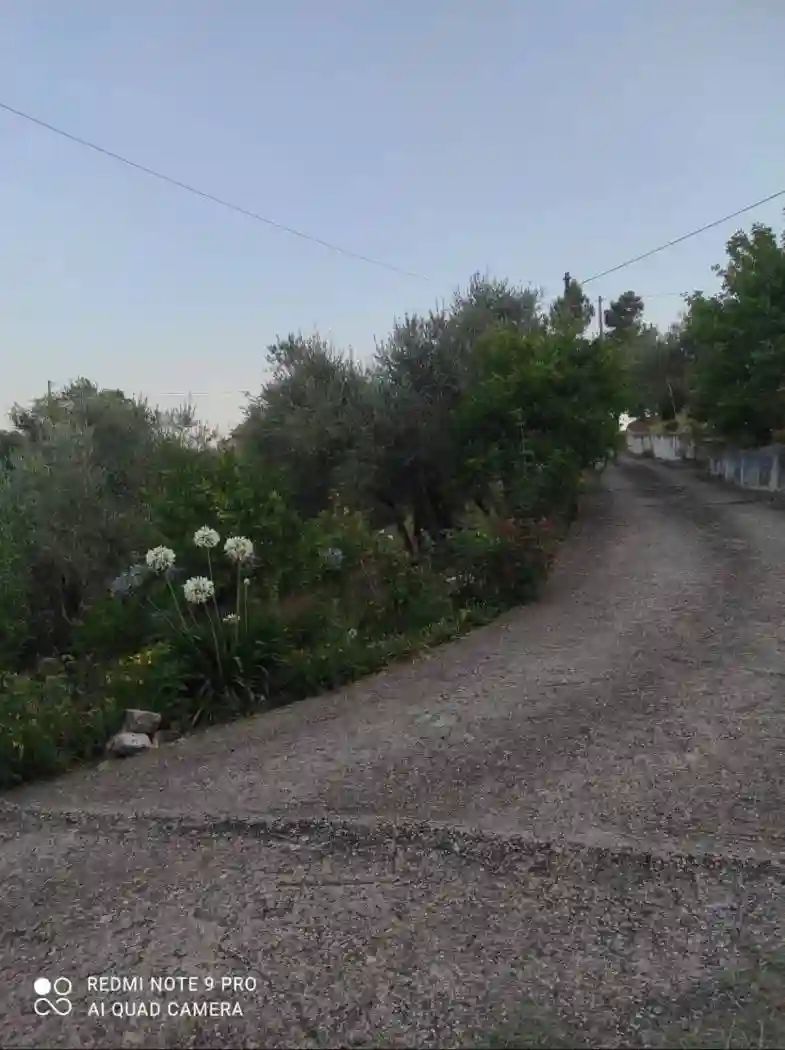 Villa unifamiliare Contrada San Mauro, San Mauro, Calabritto - foto 4