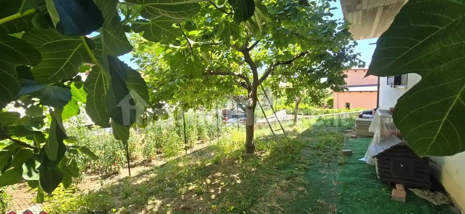 Villa unifamiliare, ottimo stato, 420 m², Barberi, Collecorvino - foto 5