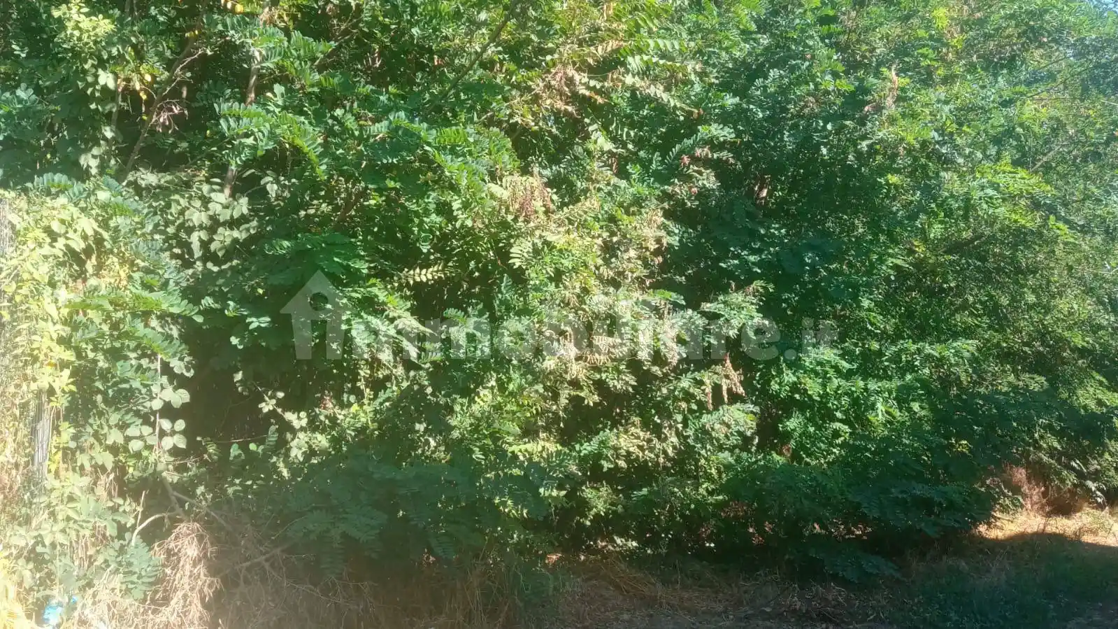 Palazzo - Edificio - foto 5