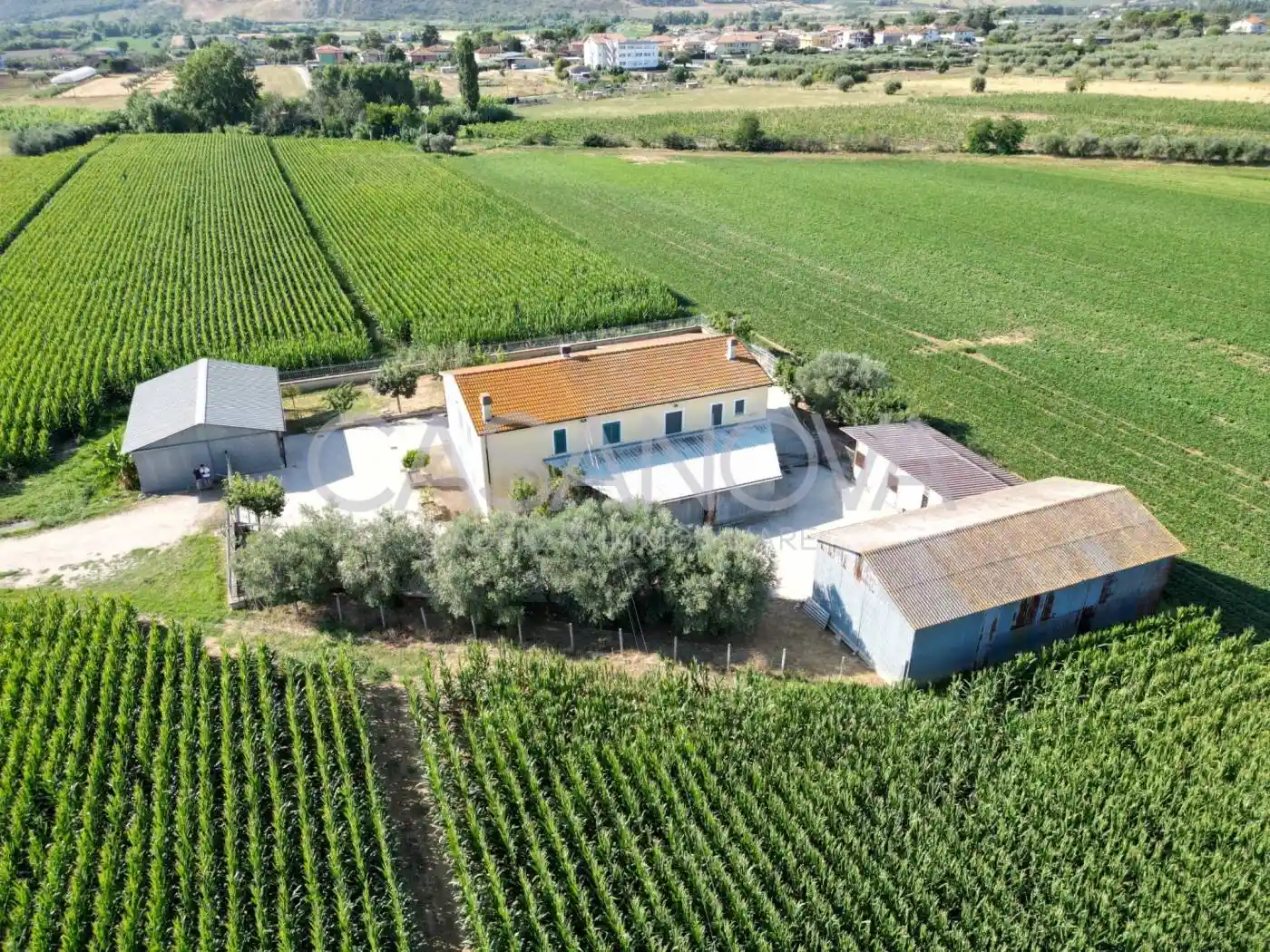 Casale, ottimo stato, 200 m², Giulianova - foto 4