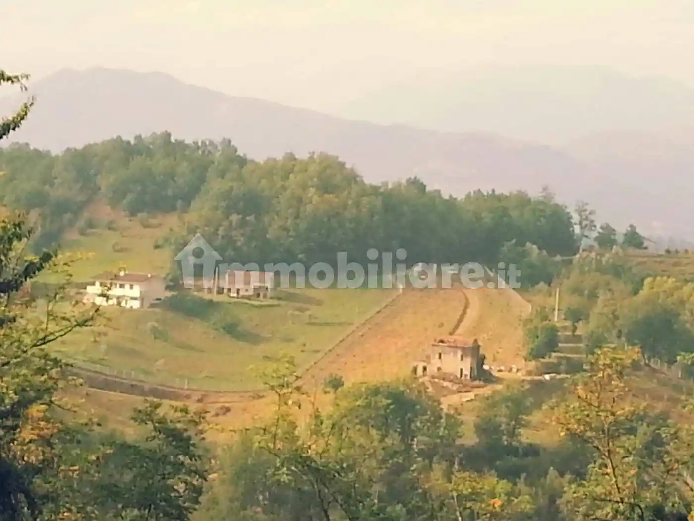 Rustico - Casale in vendita a Gallinaro