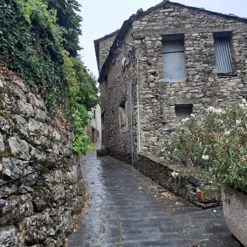Palazzo - Edificio in vendita a Chiusanico