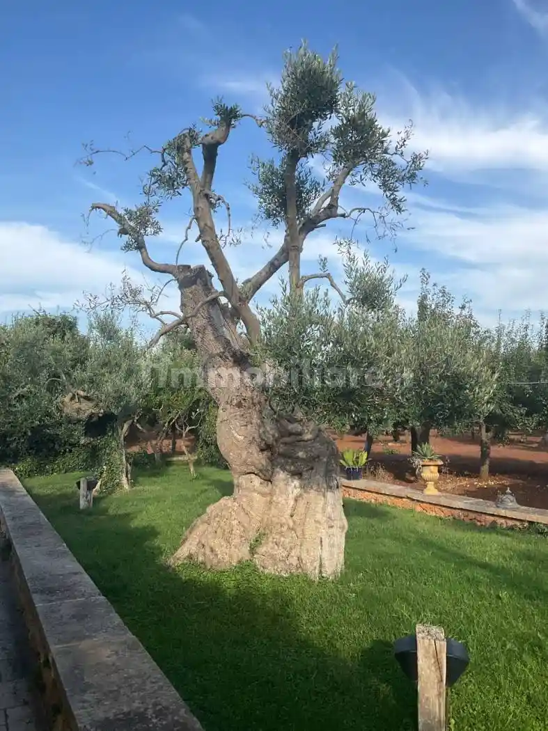 Appartamento in villa Strada Provinciale Ostuni-Francavilla Fontana, Santa Caterina, Ramunno, Chianchizzo, Ostuni - foto 3