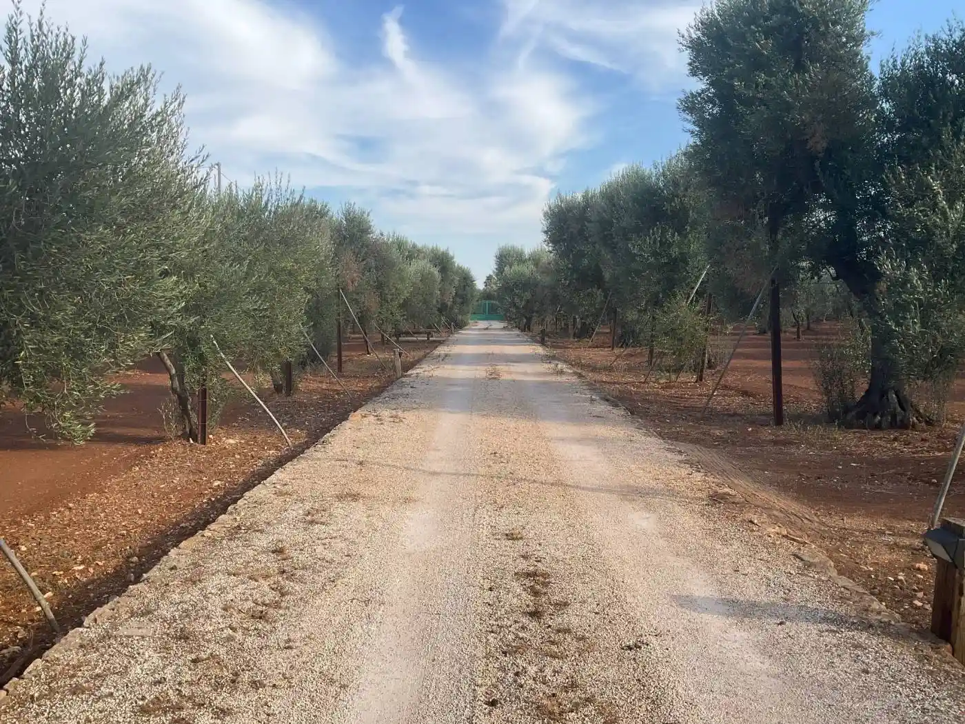Appartamento in villa Strada Provinciale Ostuni-Francavilla Fontana, Santa Caterina, Ramunno, Chianchizzo, Ostuni - foto 4
