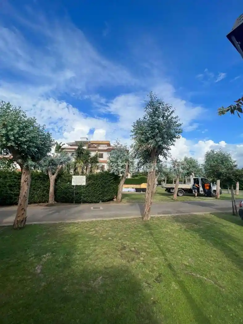 Quadrilocale via del Mare, Campo Volo, Fiume Lao, La Bruca, Scalea - foto 3