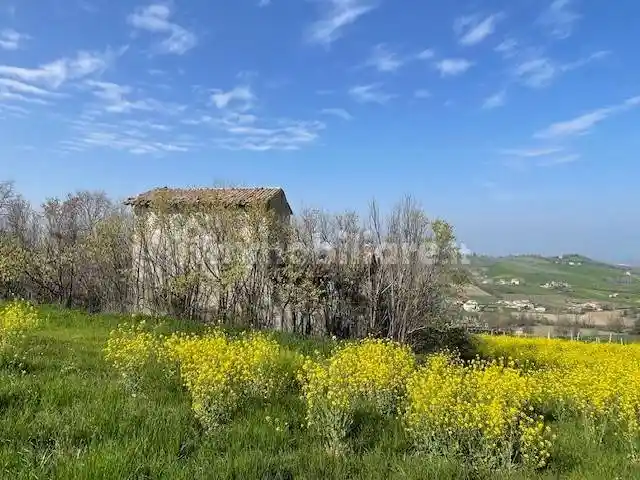 Rustico - Casale in vendita a Castelvetro di Modena