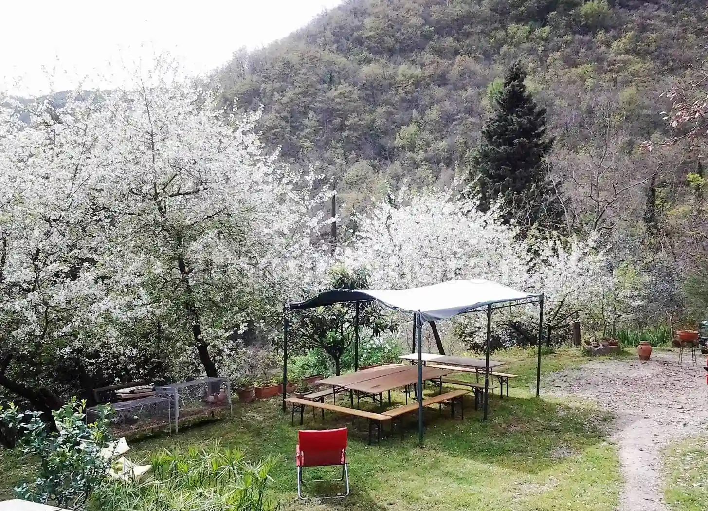 Rustico - Casale - foto 4