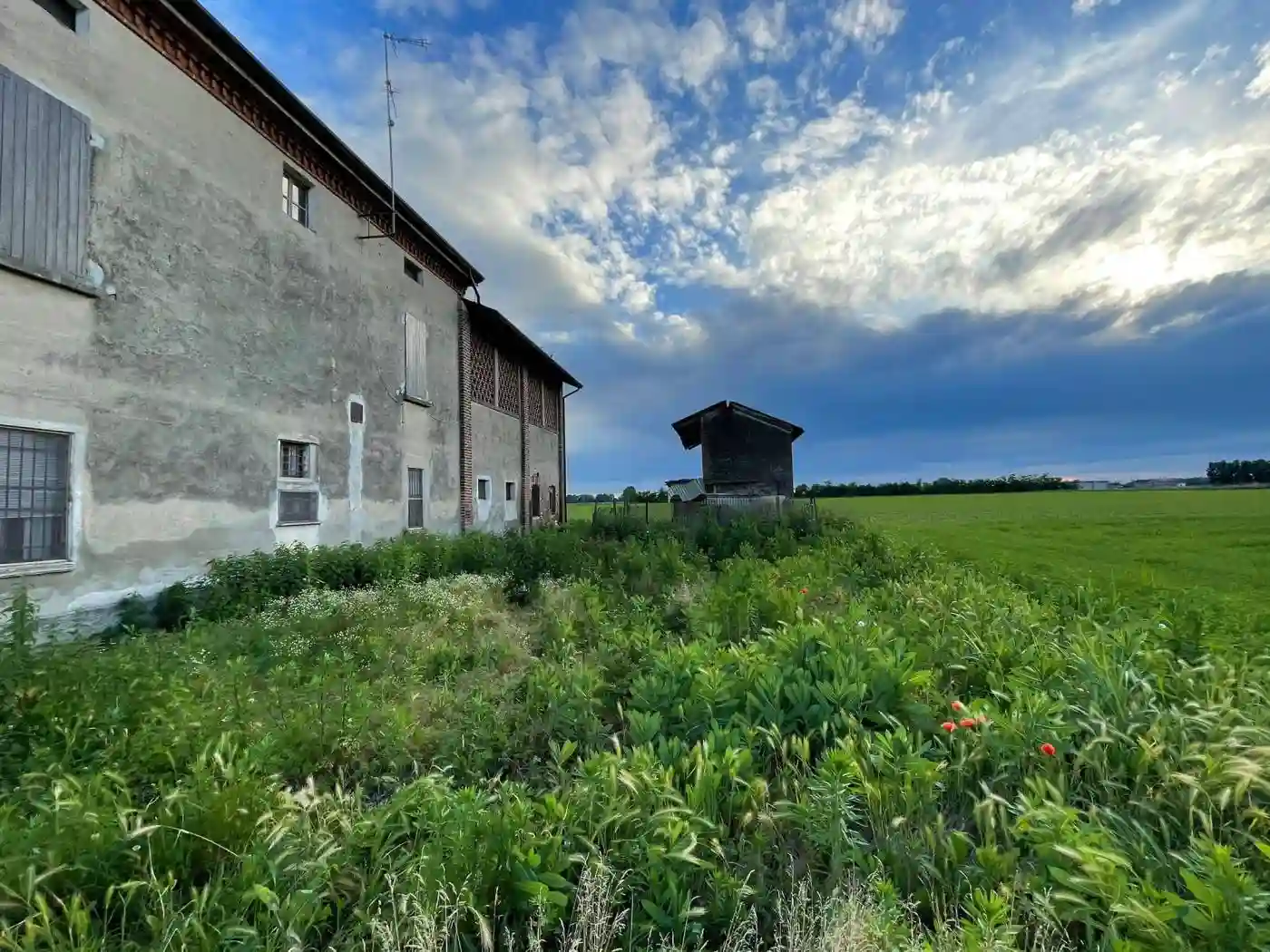 Rustico - Casale - foto 4