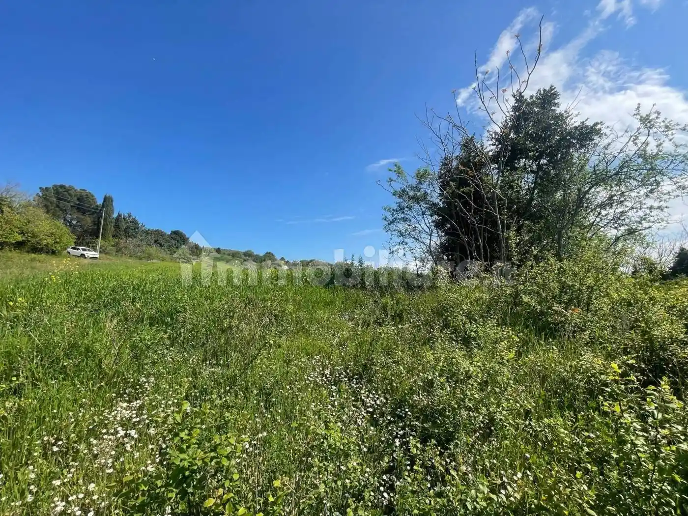 Casale frazione Poggio, Poggio - Massignano, Ancona - foto 4