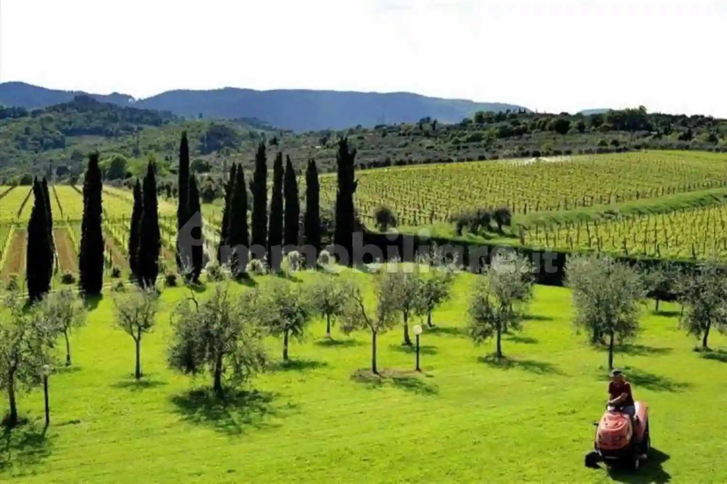 Rustico - Casale - foto 5