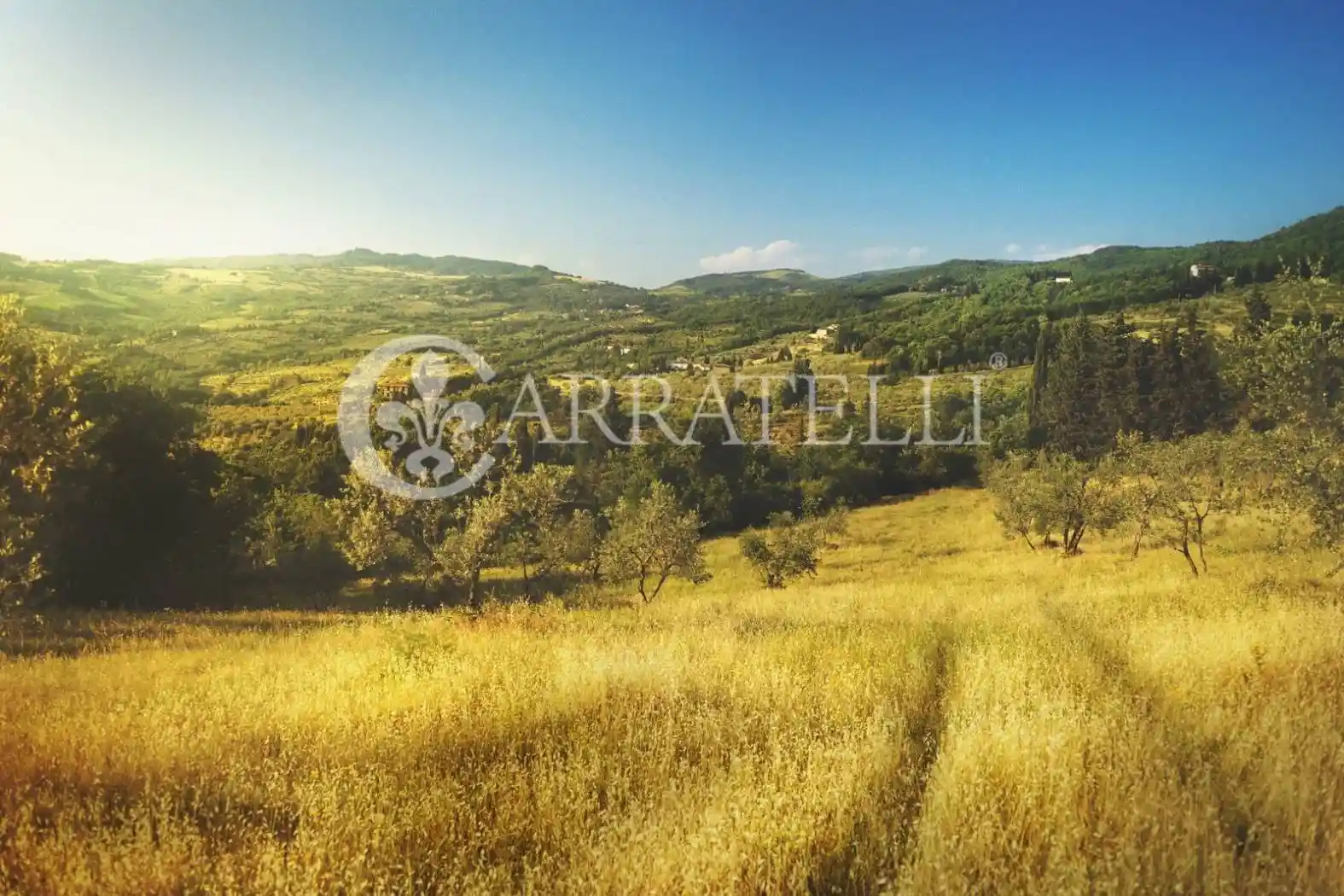 Rustico - Casale in vendita a Castelnuovo Berardenga